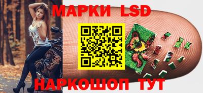 СК Кингисепп