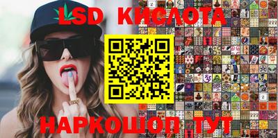 СК Кингисепп