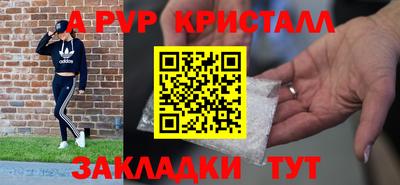 СК Кингисепп
