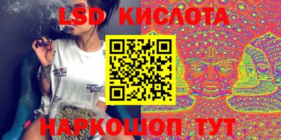 СК Кингисепп