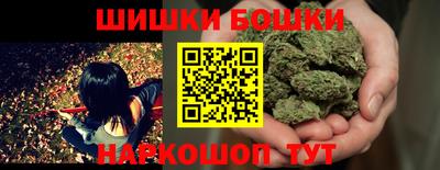 СК Кингисепп