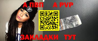 СК Кингисепп