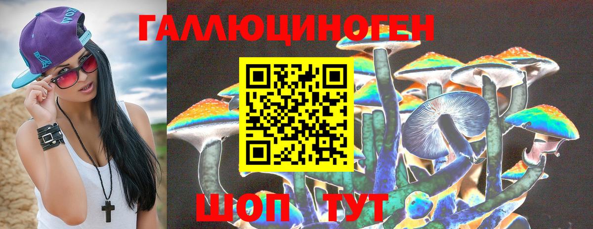 Псилоцибиновые грибы Psilocybe  как найти наркотики  Псилоцибиновые грибы Psilocybe  Кулебаки  Вход с VPN 